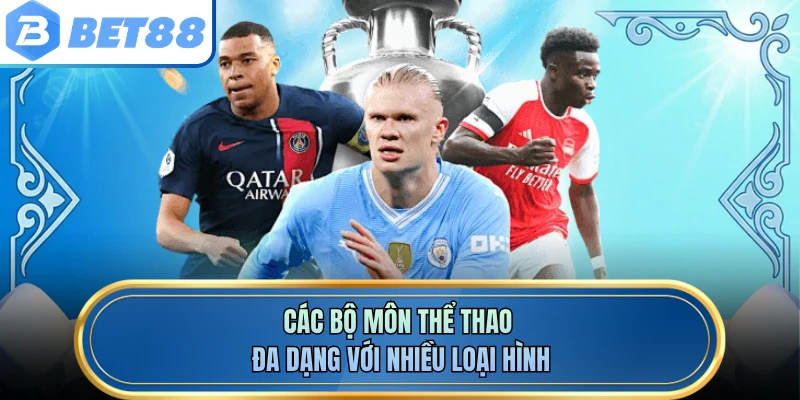Các bộ môn thể thao đa dạng với nhiều loại hình