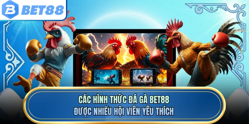 Các hình thức đá gà BET88 được nhiều hội viên yêu thích