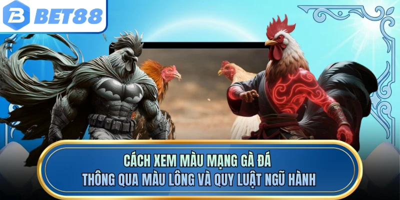 Cách xem màu mạng gà đá thông qua màu lông và quy luật ngũ hành