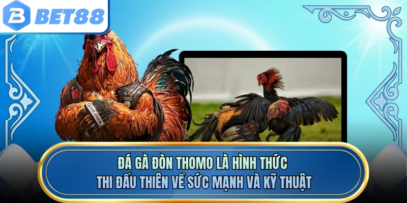 Đá gà đòn Thomo là hình thức thi đấu thiên về sức mạnh và kỹ thuật
