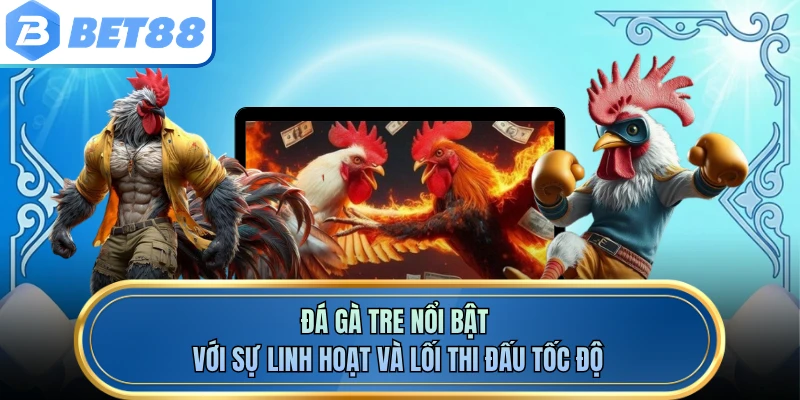 Đá gà tre nổi bật với sự linh hoạt và lối thi đấu tốc độ