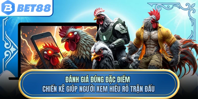Đánh giá đúng đặc điểm chiến kê giúp người xem hiểu rõ trận đấu