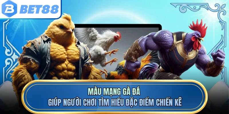 Màu mạng gà đá giúp người chơi tìm hiểu đặc điểm chiến kê