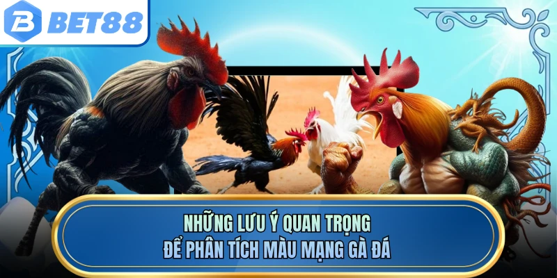 Những lưu ý quan trọng để phân tích màu mạng gà đá