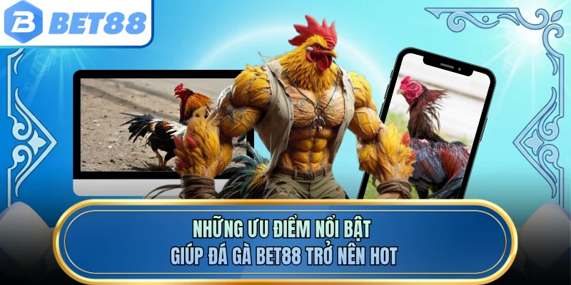 Những ưu điểm nổi bật giúp đá gà BET88 trở nên HOT