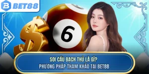 Soi Cầu Bạch Thủ Là Gì? Phương Pháp Tham Khảo Tại BET88