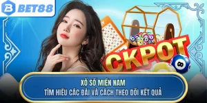 Xổ Số Miền Nam - Tìm Hiểu Các Đài Và Cách Theo Dõi Kết Quả